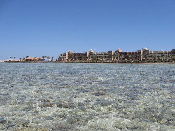 Рамис Шагимарданов