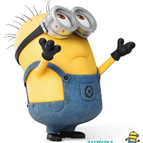 Паша Левицкий