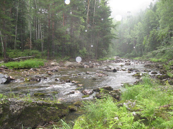 Денис Краснов