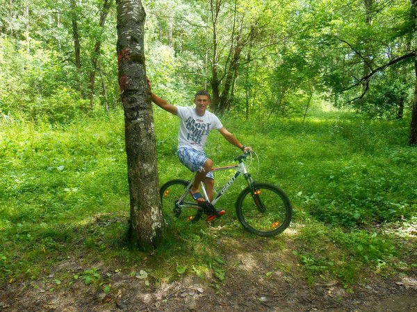 Дмитрий Михайловский