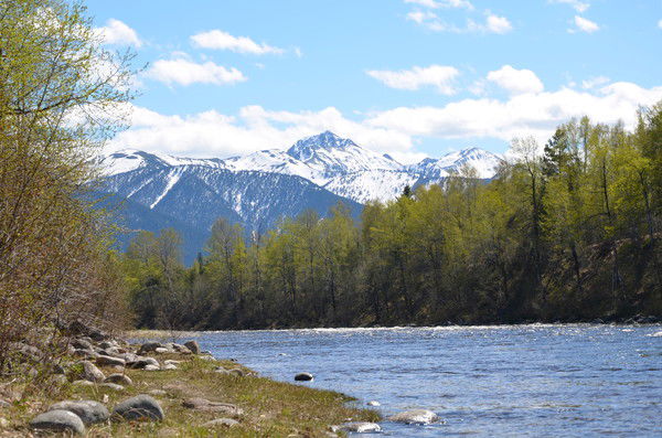 Юлия Леонтьева