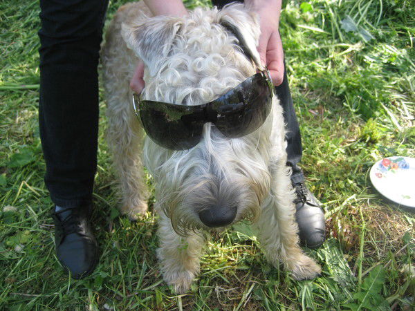 Елена Филиппова