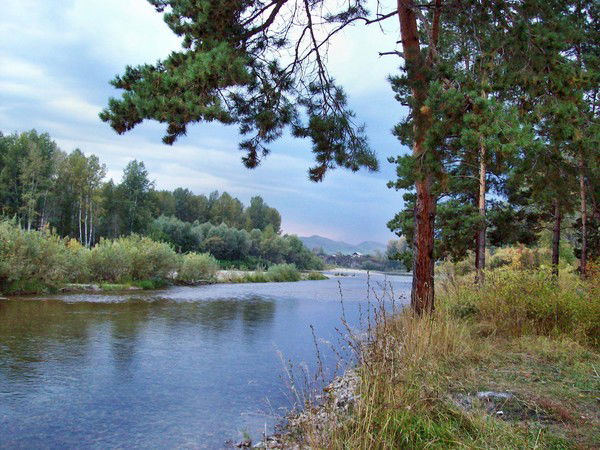 Алексей Ветлугин