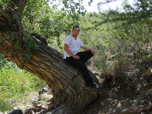 Сергей Васильев