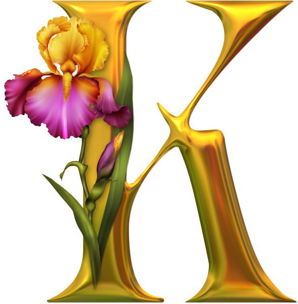 Дарья Карпичко