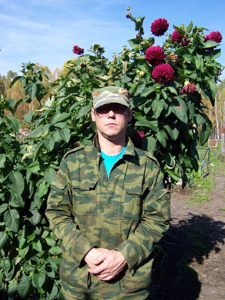 Владимир Моисеев