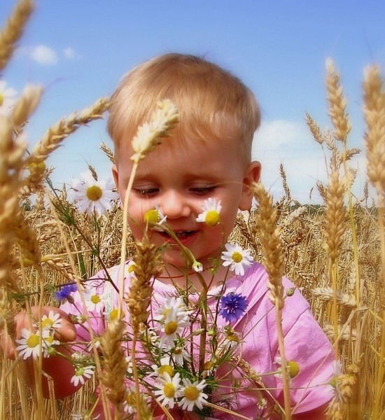 Дмитрий Тимофеев