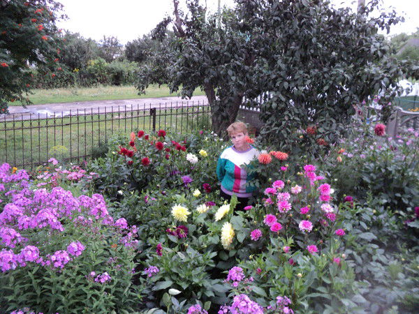 Елена Алешина