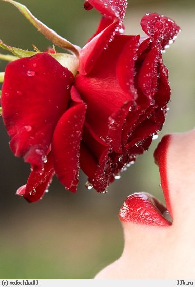 Меруерт Жанабаева