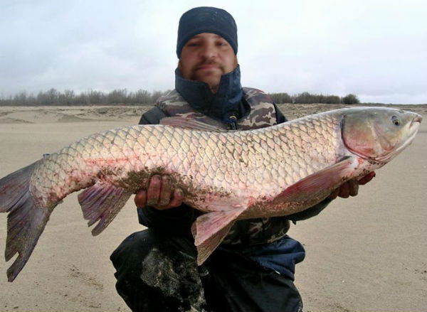 Михаил Польдяев