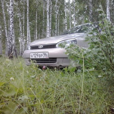 Роман Шляпников