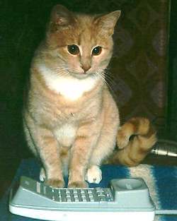 Елена Савражская