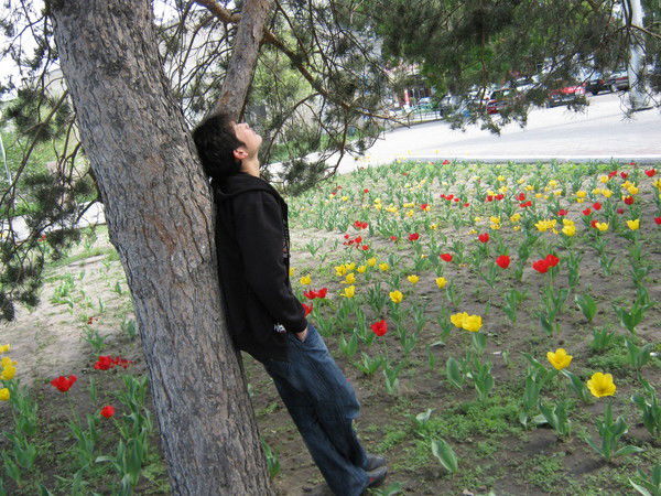 Элдар Кадиров