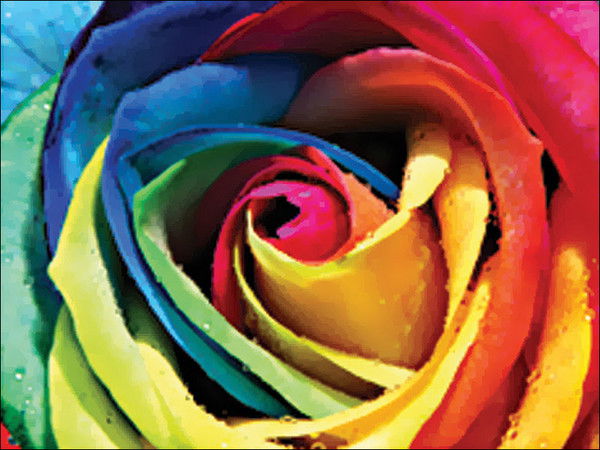 Гюлай Меджидова