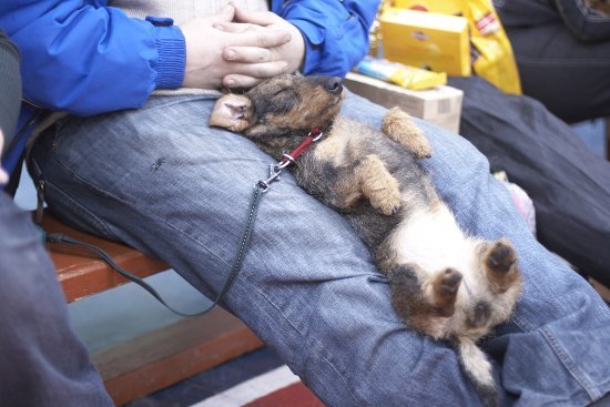 Галина Никитина