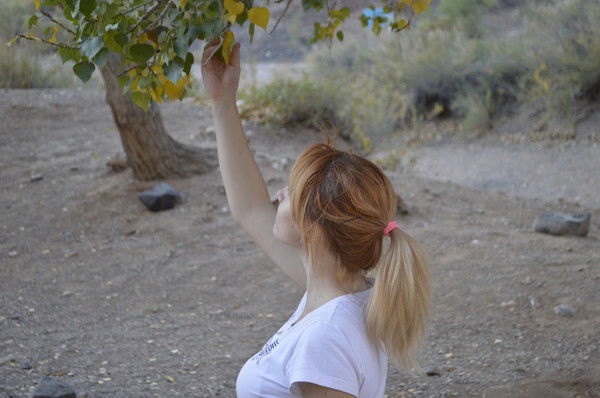 Настенька =)