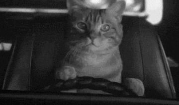 Алекс Петренко