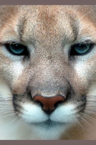 Гузэль Садердинова