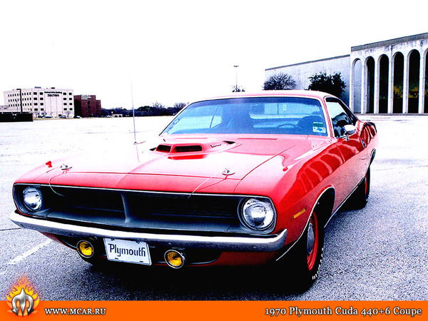 Александр Левченко