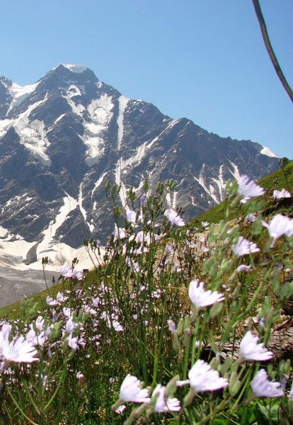 Александра Раца