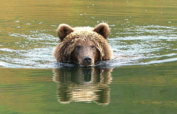 Шкуркин Сергей