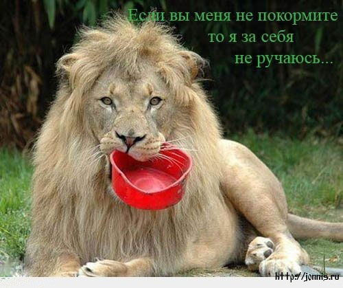 Екатерина Никитенко