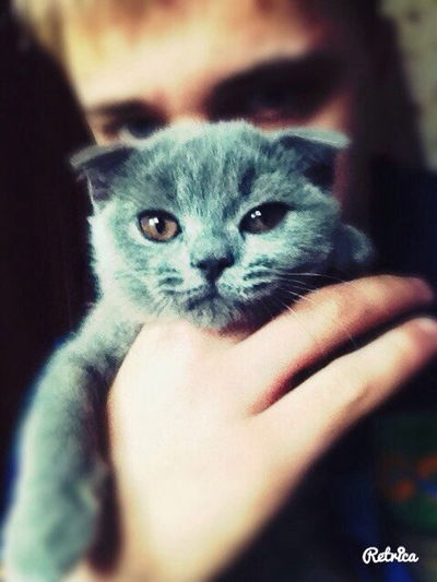 Виолетта Веселовская