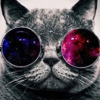 Анастасия Кот