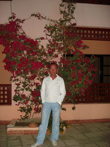 Андрей Владимирович