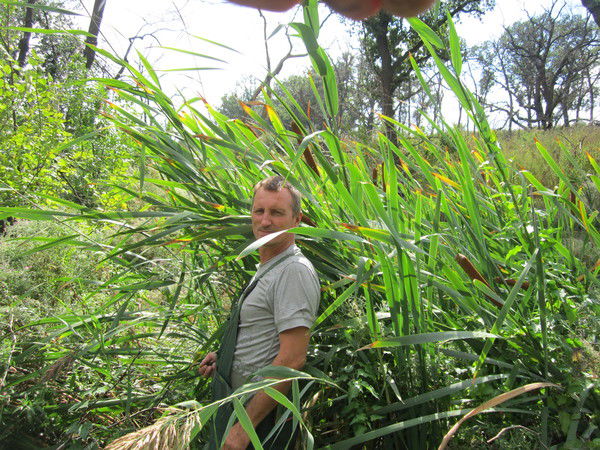 Cергей Алексеев