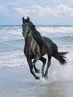 Агзам Абдисаматов