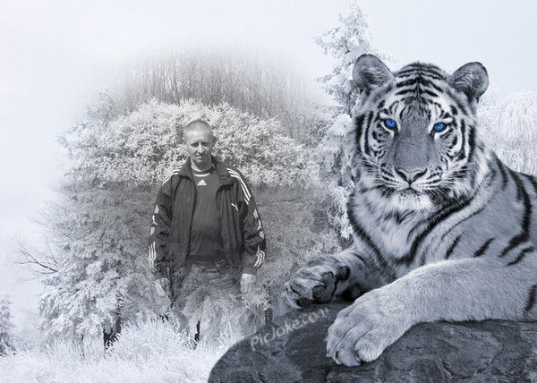 Сергей Спиченков