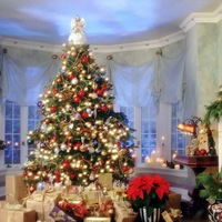 Данил Морозов