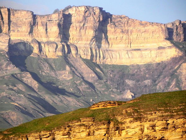 Алексей Афанасьев