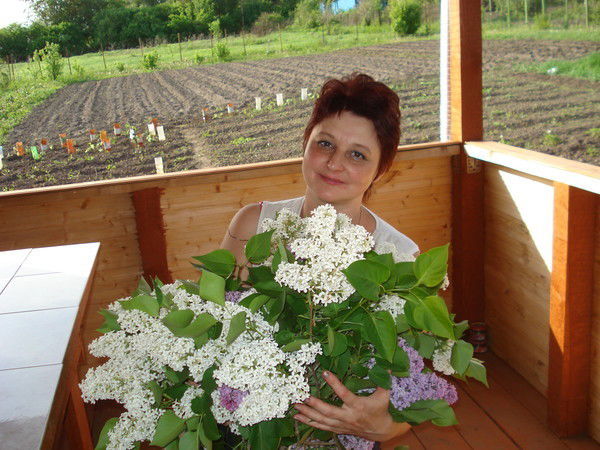 Eлена Васильева