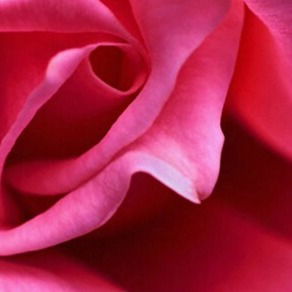 Виталий Ярый