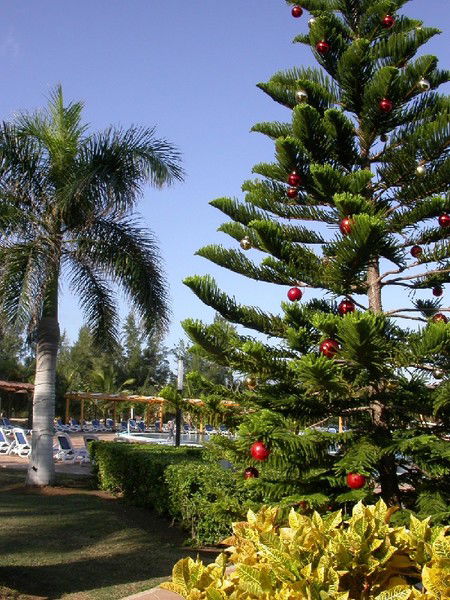 Олег Тропин