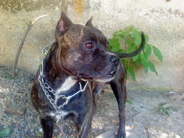 Дима Зинкин