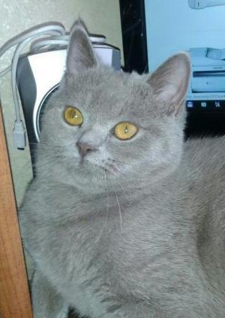 Костик Минск