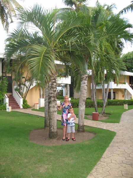 Алёна Жирнова