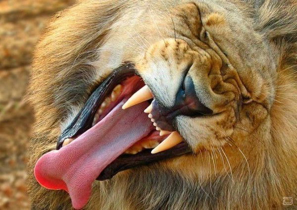 Лев Путилин