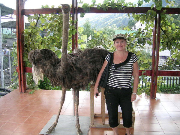 Галина Алёшина