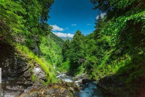 Амур Амуров