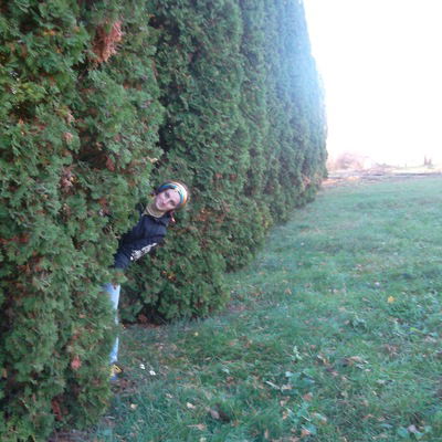 Оля Зиборова