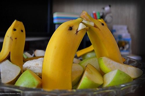 Тимур Арзамасцев