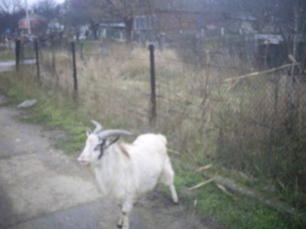 Александр Одинцов