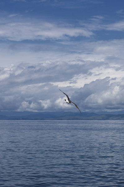 Евгений Степанов