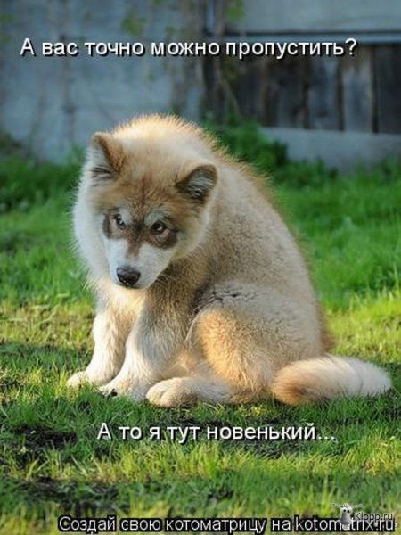 Федор Иващенко