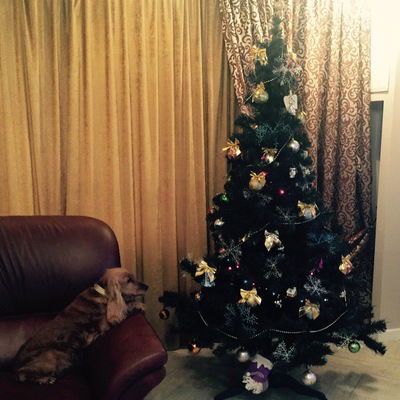 Катя Григорьева