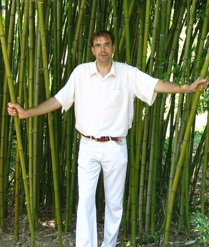 Денис Мозгунов